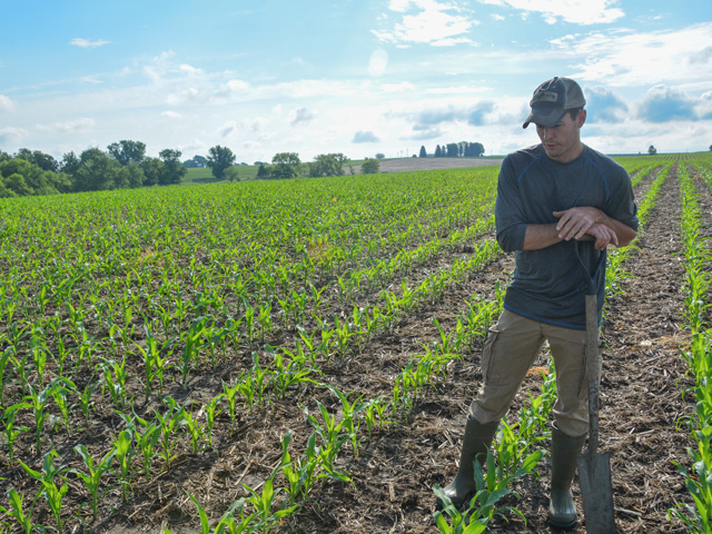 Nathan Anderson, 31, examines his corn crop on Bobolink Prairie Farms near Cherokee, Iowa. Anderson said he feels fortunate to get his corn crop planted this spring. He and other producers who got their crops in are now watching the price rally. (DTN photo by Chris Clayton)